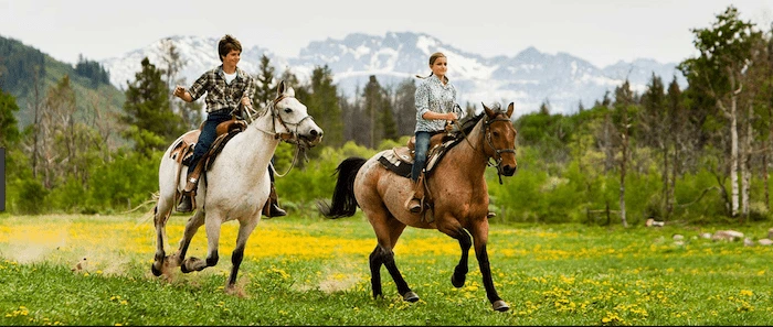 Confident plus-size woman riding Dunstable a horse through a field with a smile on her face.